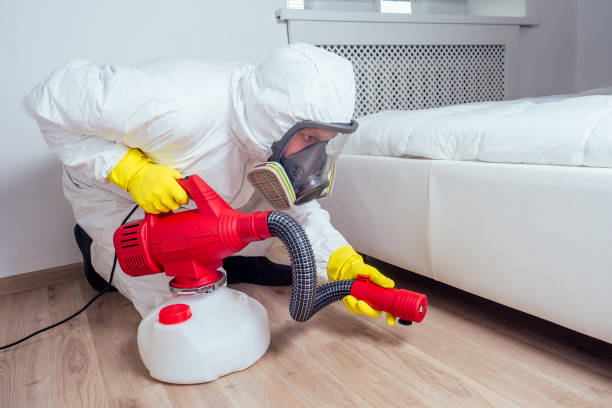 Best Ant Control Services  in Oak Hill, FL