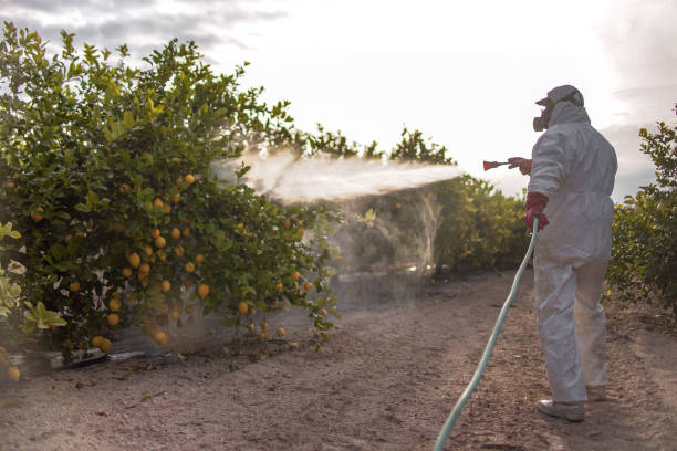 Best Emergency Pest Control  in Oak Hill, FL