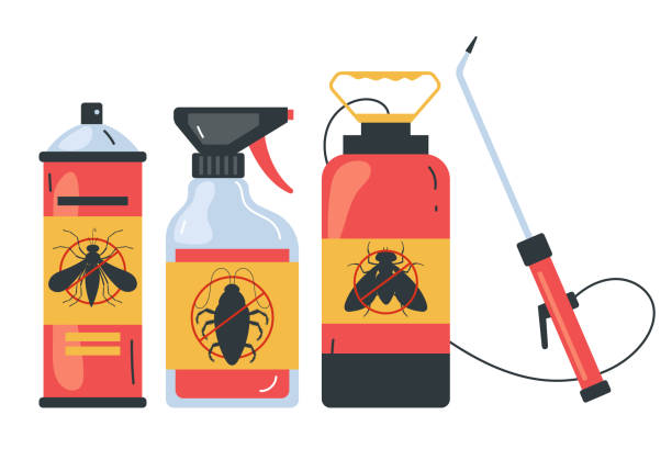 Best Insect Control  in Oak Hill, FL