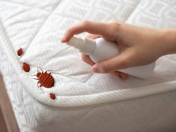 Reliable Oak Hill, FL Pest Control Solutions